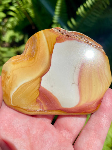 Rhyolite Palm Stone - Morganna’s Treasures 