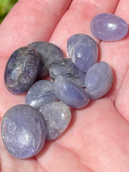 Tanzanite Tumbled Stones - Morganna’s Treasures