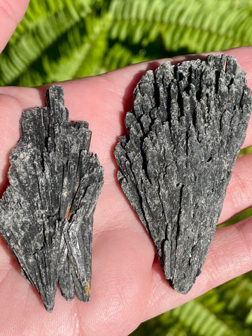 Rough Black Kyanite - Morganna’s Treasures 