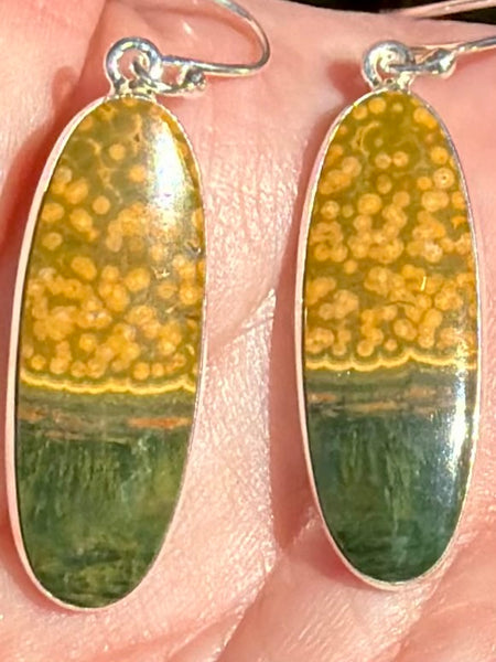 Ocean Jasper Earrings - Morganna’s Treasures