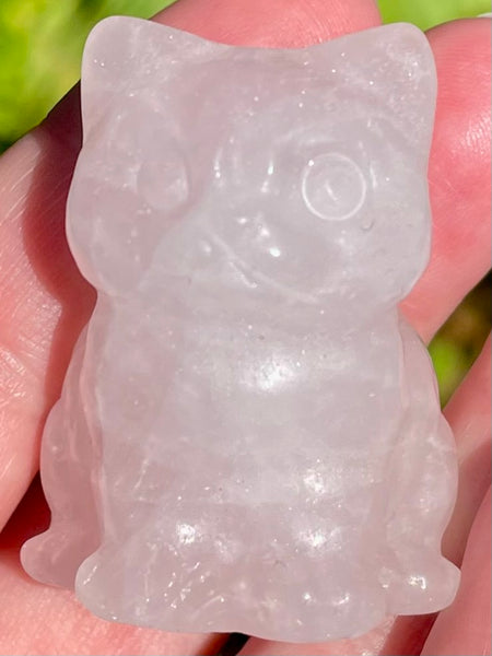 Rose Quartz Carved Cat - Morganna’s Treasures 