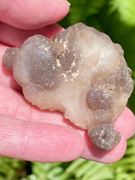 Botroyoidal Chalcedony Palm Stone - Morganna’s Treasures 