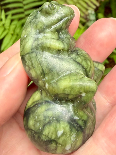 Serpentine Frog