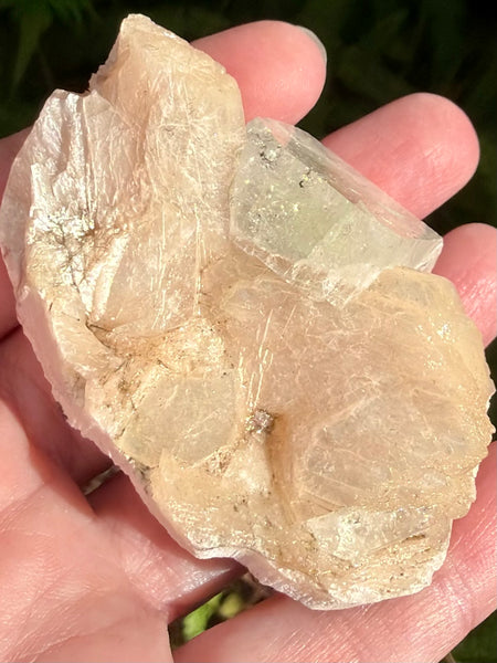 Apophyllite with Stilbite Crystal Cluster - Morganna’s Treasures