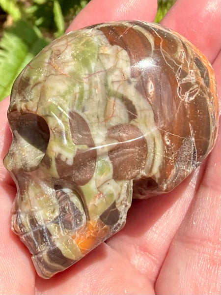Money Agate Skull - Morganna’s Treasures
