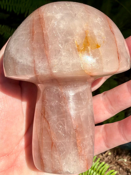 Beautiful Hematoid Quartz Mushroom - Morganna’s Treasures