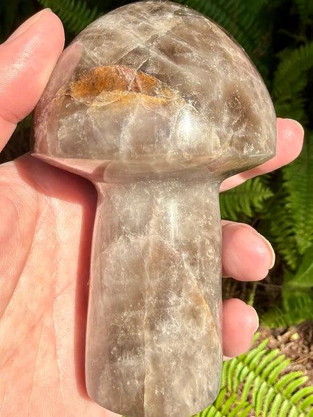 Gorgeous Smoky Quartz Mushroom - Morganna’s Treasures