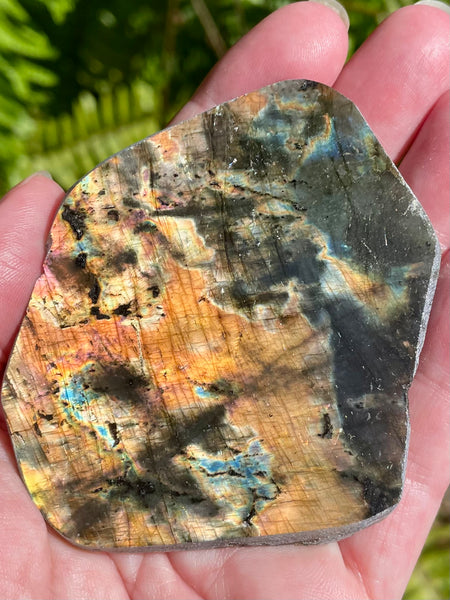 Gorgeous Labradorite Slab - Morganna’s Treasures 