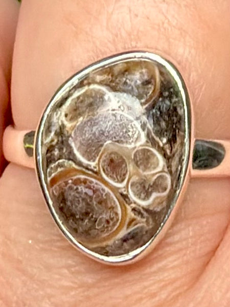 Turritella Agate Ring Size 8