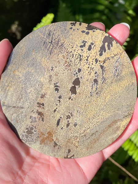 Picture Jasper Charging Plate