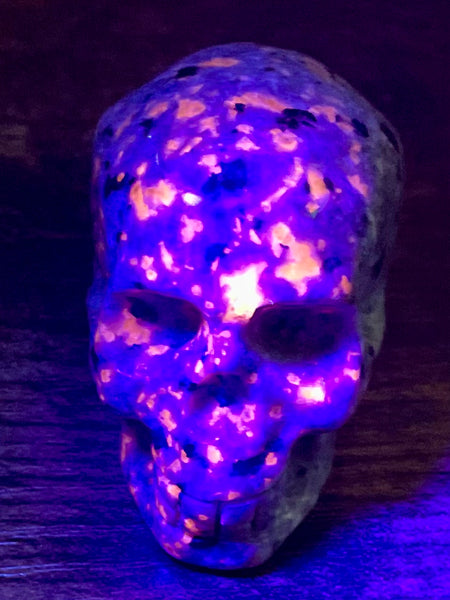 Carved Yooperlite (Fluorescent Sodalite)  Skull - Morganna’s Treasures 