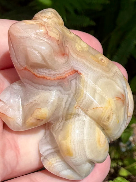 Crazy Lace Agate Frog - Morganna’s Treasures