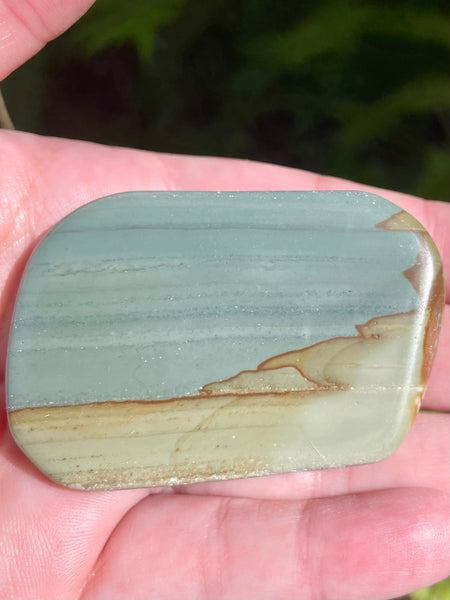 Succor Creek Picture Jasper Palm Stone - Morganna’s Treasures