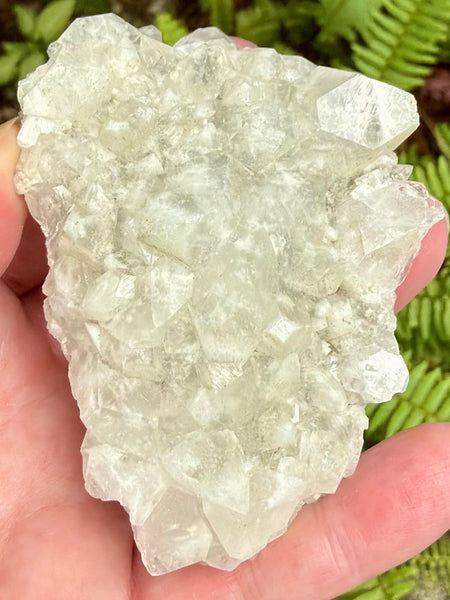 Apophyllite Cluster