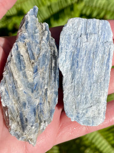 Large Rough Blue Kyanite - Morganna’s Treasures 