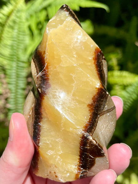 Septarian (Dragon's Stone) Flame - Morganna’s Treasures