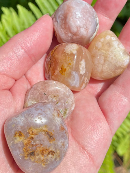 Large Flower Agate Tumbled Stones - Morganna’s Treasures 