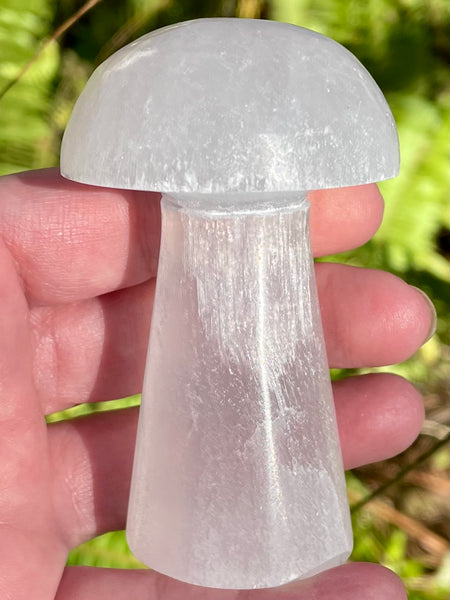 Selenite Mushroom