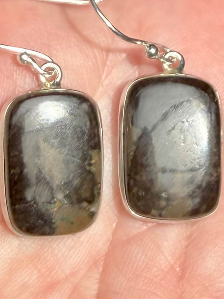 Mountain Jasper Earrings - Morganna’s Treasures