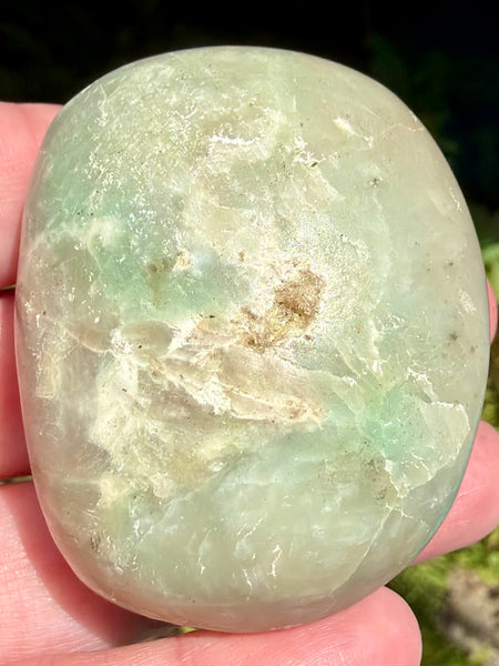 Garniérite Palm Stone