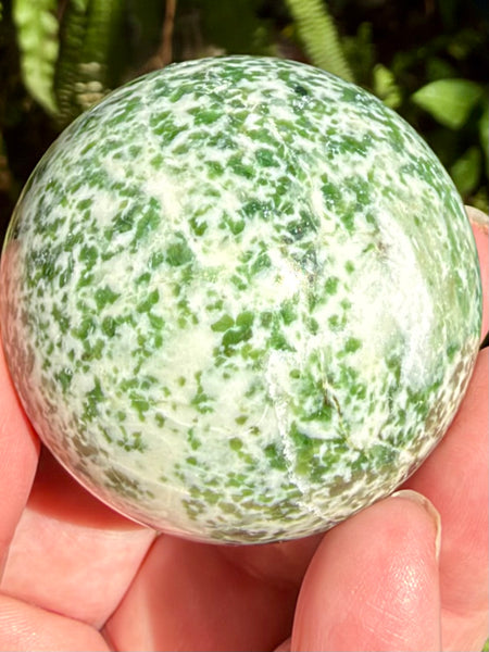 Tree Agate Sphere