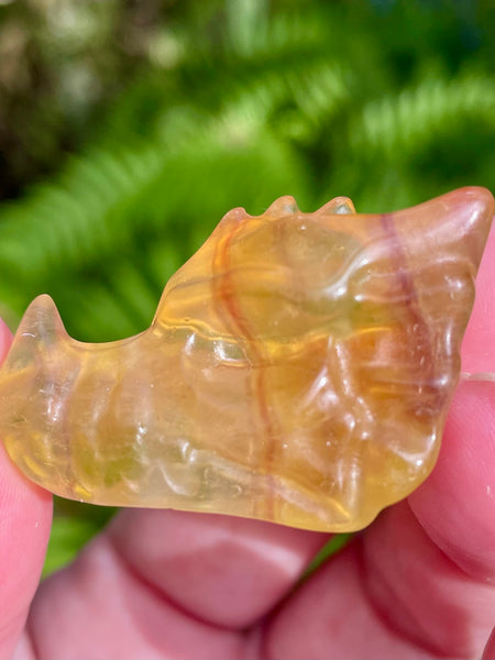 Carved Yellow Fluorite Dragon - Morganna’s Treasures 