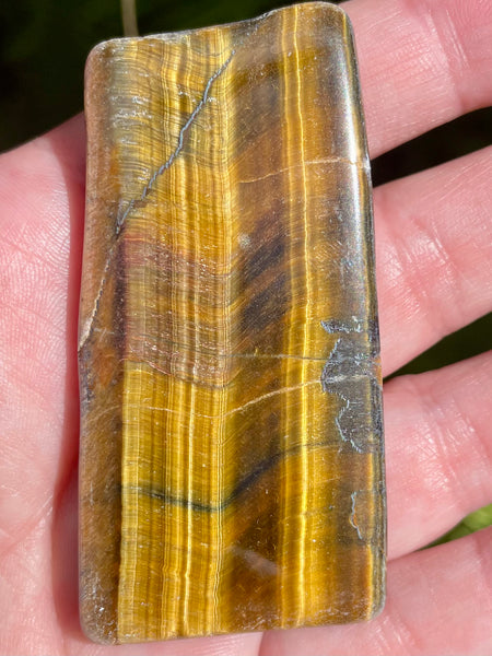 Gold Tigers Eye Palm Stone from Africa - Morganna’s Treasures