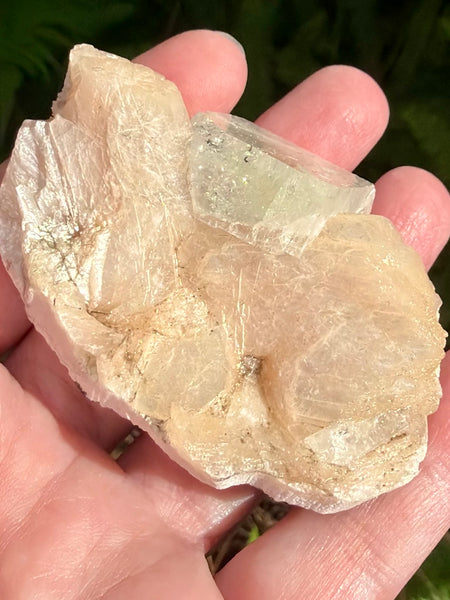 Apophyllite with Stilbite Crystal Cluster - Morganna’s Treasures
