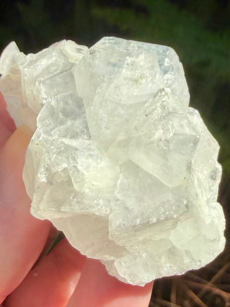 Apophyllite Cluster - Morganna’s Treasures
