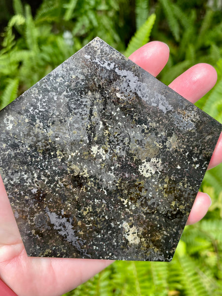 Nuummite Pentagon Charging Plate - Morganna’s Treasures