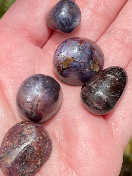 Gorgeous Star Ruby Tumbled Stones - Morganna’s Treasures