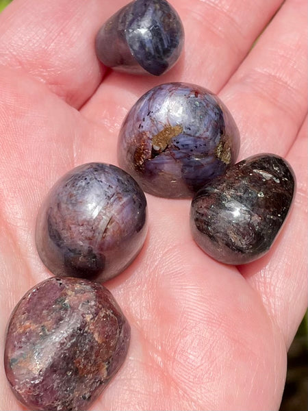 Gorgeous Star Ruby Tumbled Stones - Morganna’s Treasures