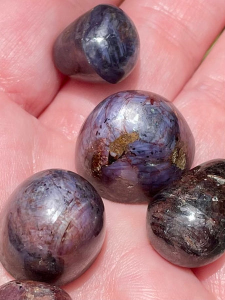Gorgeous Star Ruby Tumbled Stones - Morganna’s Treasures