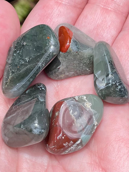 Bloodstone Tumbled Stones - Morganna’s Treasures