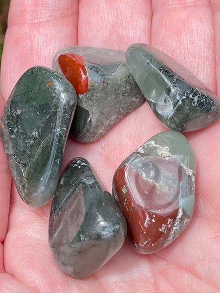 Bloodstone Tumbled Stones - Morganna’s Treasures