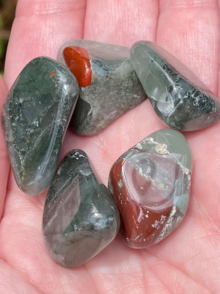 Bloodstone Tumbled Stones - Morganna’s Treasures