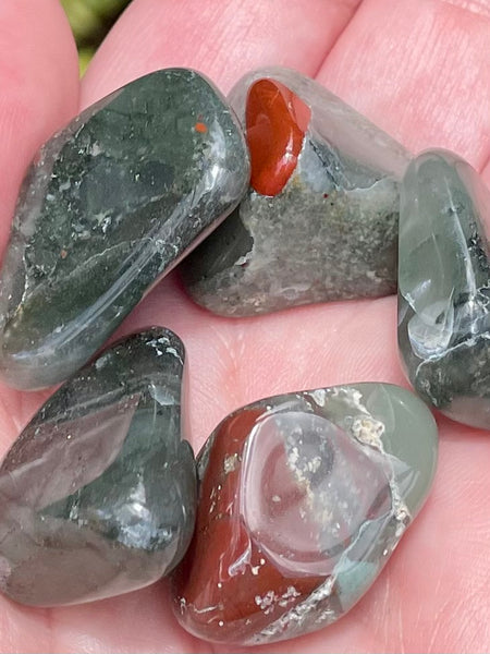Bloodstone Tumbled Stones - Morganna’s Treasures
