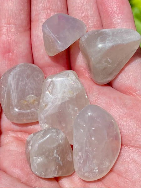 Rare Blue Rose Quartz Tumbled Stones - Morganna’s Treasures