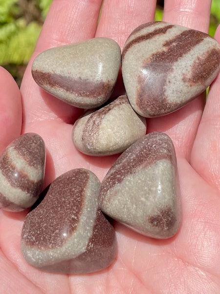 Shiva Lingam Tumbled Stones - Morganna’s Treasures