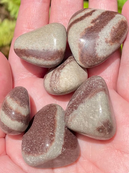 Shiva Lingam Tumbled Stones - Morganna’s Treasures