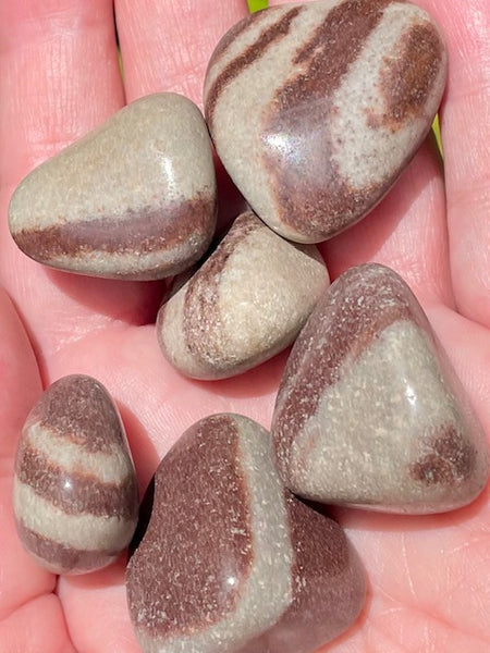 Shiva Lingam Tumbled Stones - Morganna’s Treasures