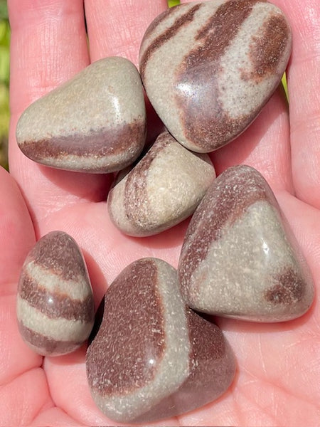 Shiva Lingam Tumbled Stones - Morganna’s Treasures