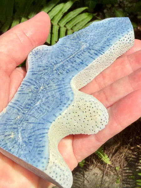 Blue Coral Slab
