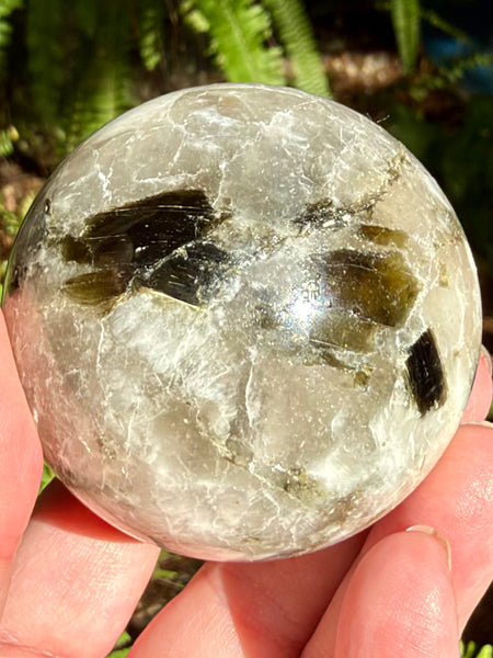 Green Tourmaline in Quartz Sphere - Morganna’s Treasures
