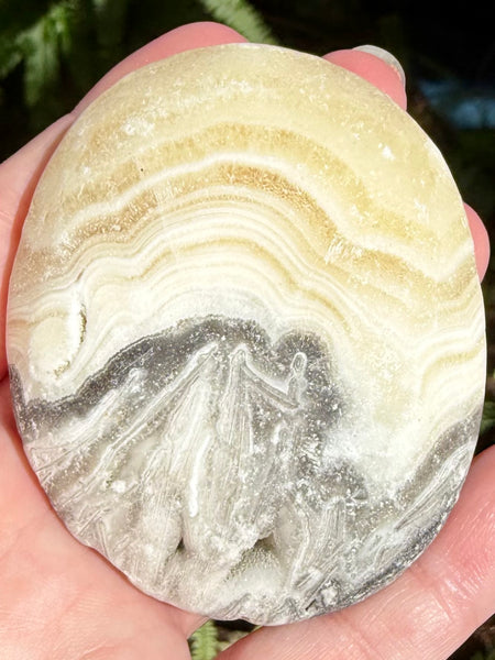 Large Rough Banded Calcite Palm Stone - Morganna’s Treasures