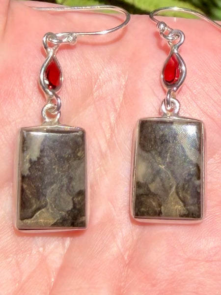 Mountain Jasper and Garnet Earrings - Morganna’s Treasures