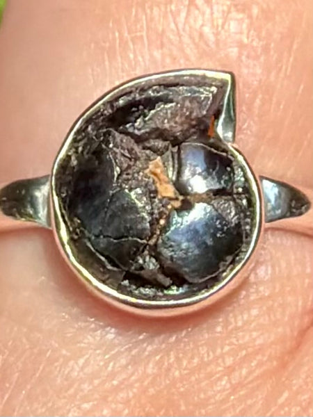 Rare Pyrite in Ammonite Ring Size 8