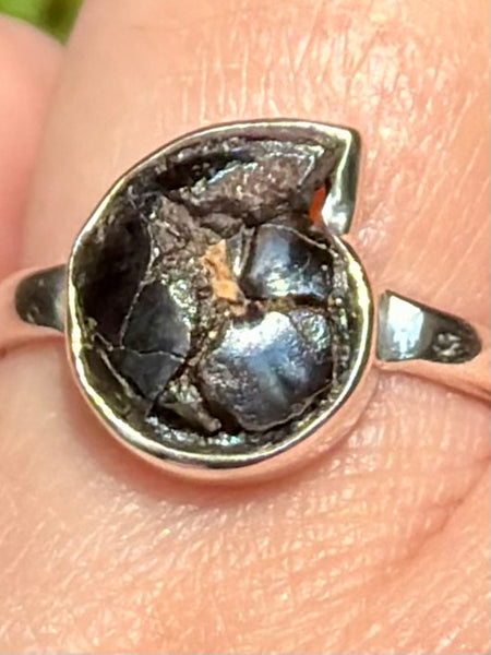 Rare Pyrite in Ammonite Ring Size 8