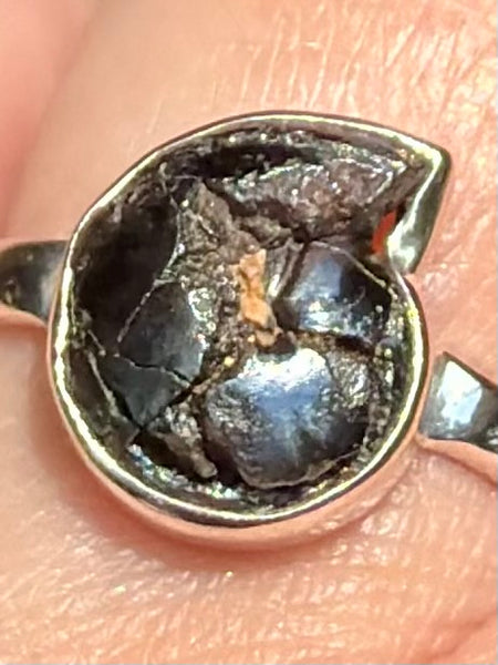 Rare Pyrite in Ammonite Ring Size 8