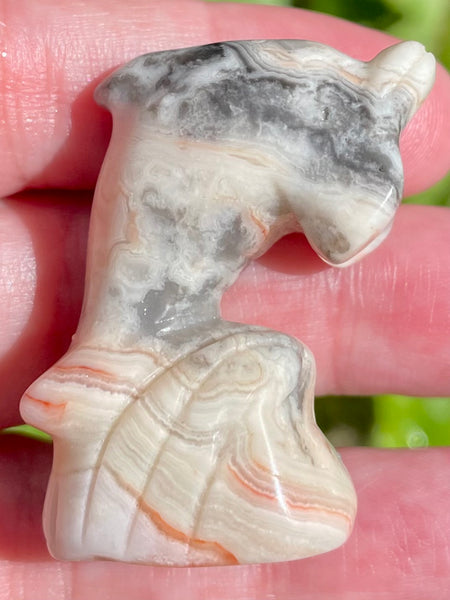 Carved Crazy Lace Agate Dolphin - Morganna’s Treasures 